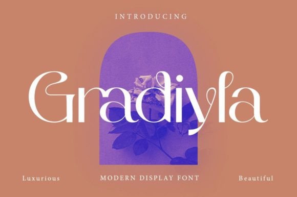 Download Gradiyla - Premium Bundle